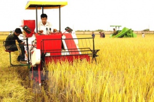 Tìm hiểu ngành Kinh tế nông nghiệp là gì? học gì? ra trường làm gì?